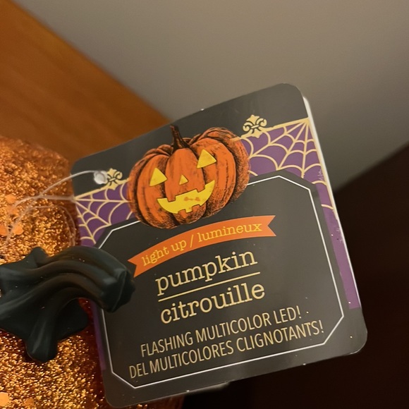 COPY -Rustic Farmhouse Light up Pumpkins Glittery with Flashing LED Lights 4x - Picture 9 of 10